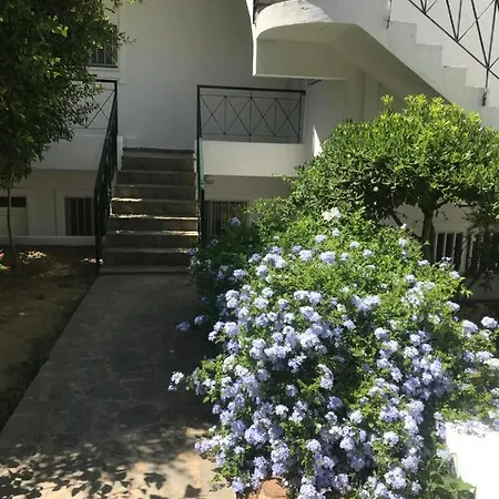 Elisa Seaside Luxury *