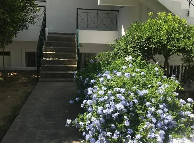 Elisa Seaside Luxury *